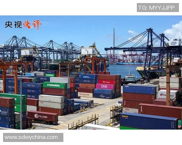 深圳飞盘队防守战略创新探索助力球队崛起新篇章