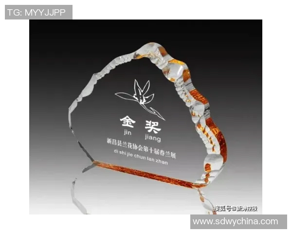 以奖杯为象征的荣耀与奋斗之路，见证每一个冠军背后的拼搏与坚持