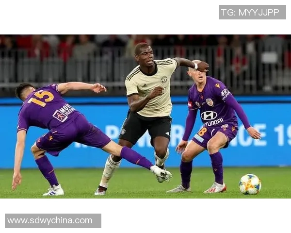 北京滑板队区域防守分析与战术调整的深度探讨